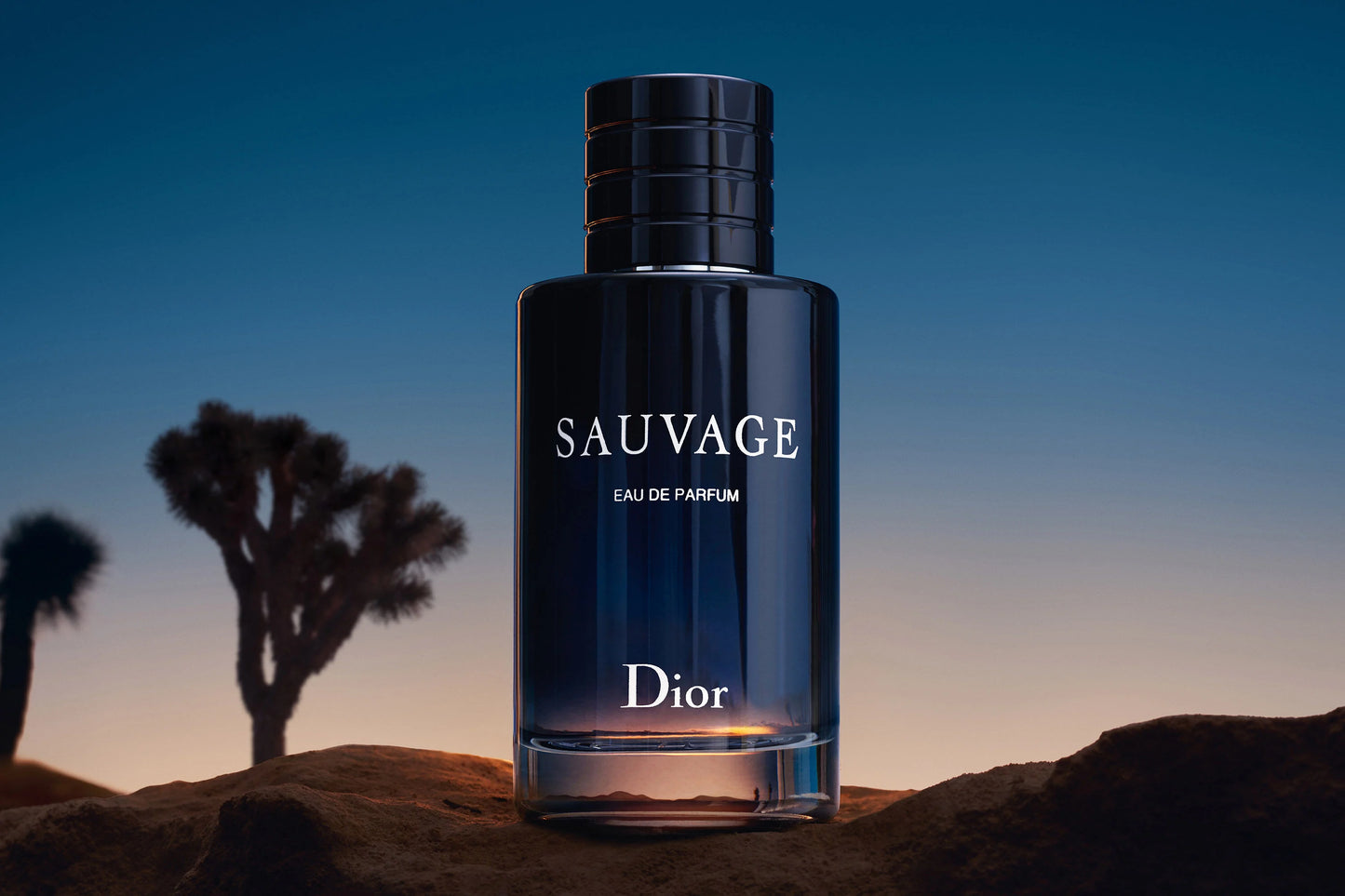 Dior Sauvage Eau de Parfum