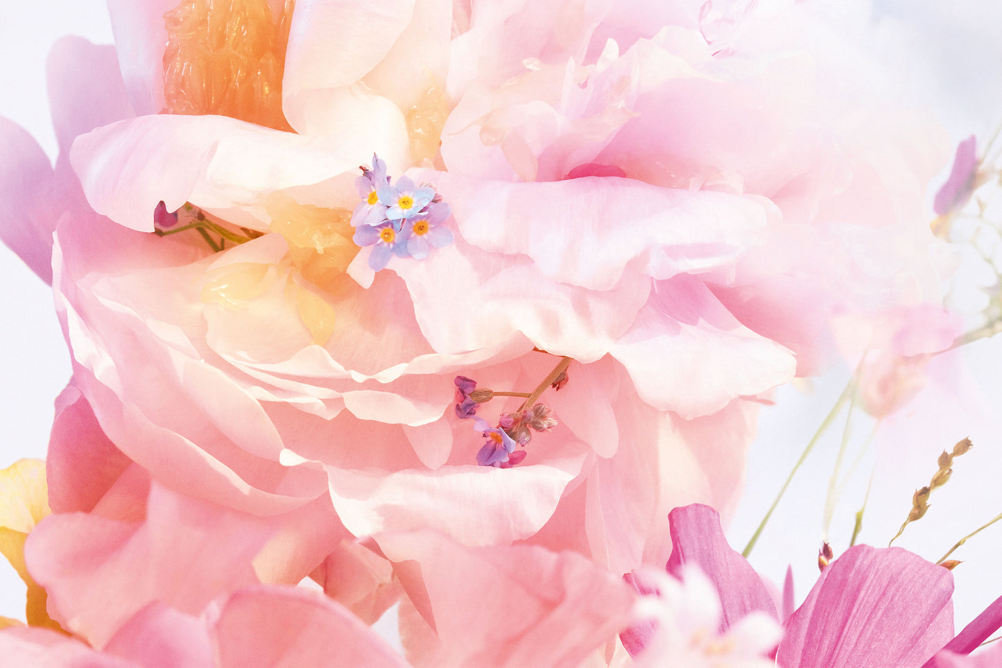 Christian Dior Miss Dior Blooming Bouquet